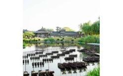 2026湘潭夏季团建新篇：贝塔团建以‘长安的荔枝’解锁国风团建新体验